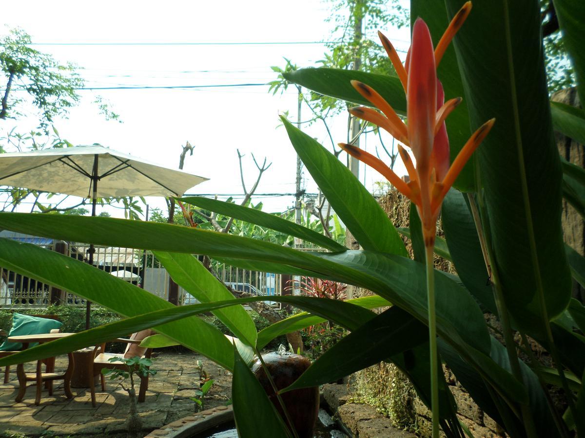 Baanwealaa Guesthouse (Adults Only) Chiang Mai Exterior foto